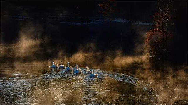 银河文明3